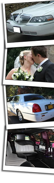 White wedding limo graphic